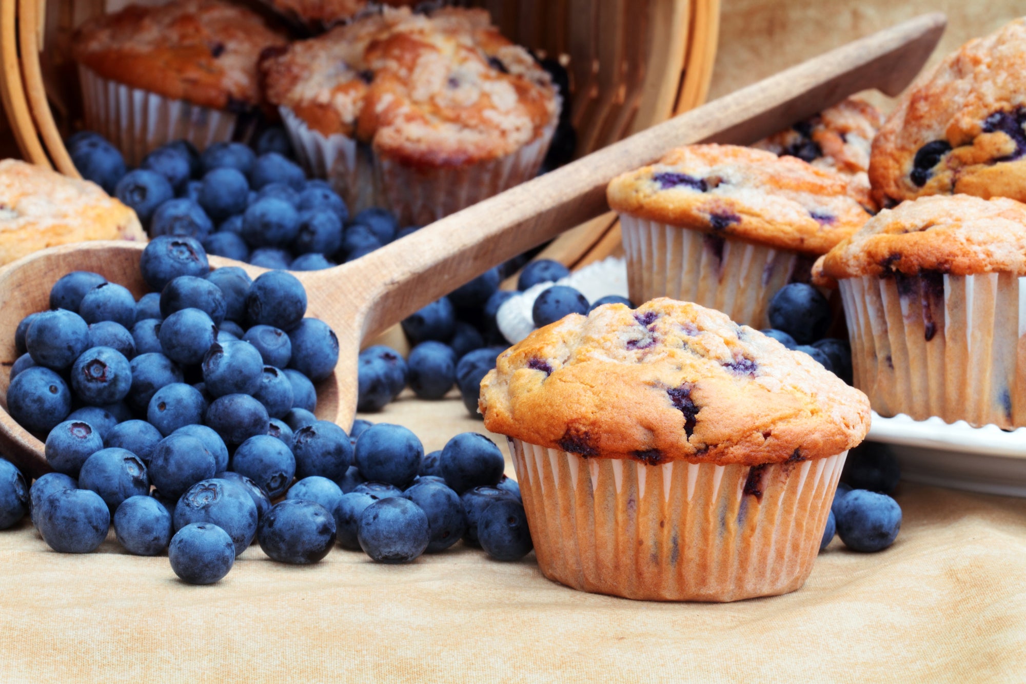 Monk Fruit: El Perfecto endulzante para dieta KETO + Receta blueberry muffins